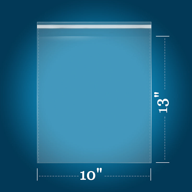 10" x 13" big cellophane bags