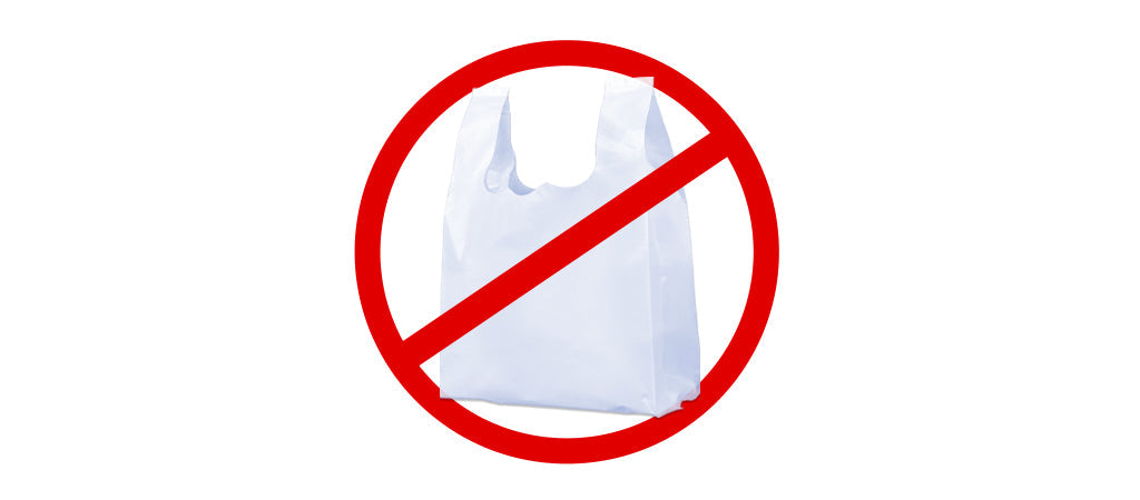 What Do U.S. Plastic Bag Regulations Mean for E-commerce Businesses?